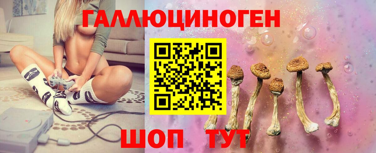 закладка  Вход с VPN  Черногорск  Псилоцибиновые грибы прущие грибы 